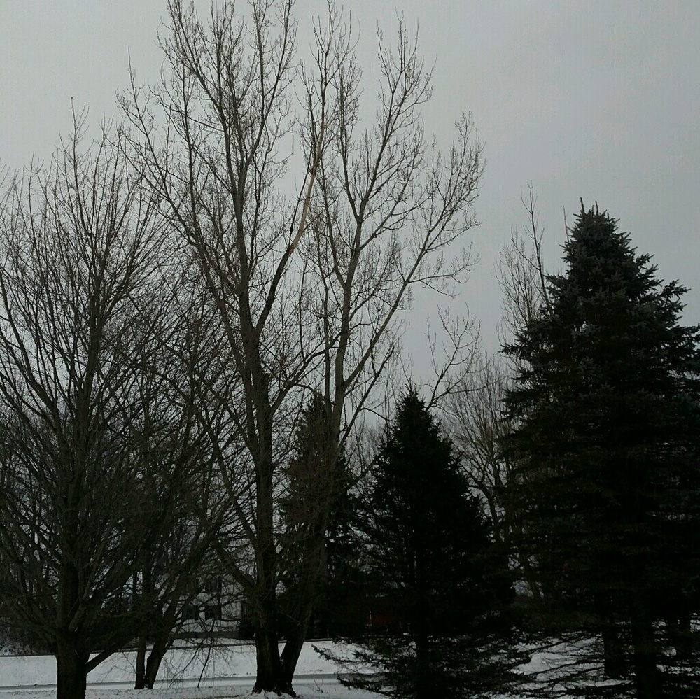 Meet your Posher, Faith